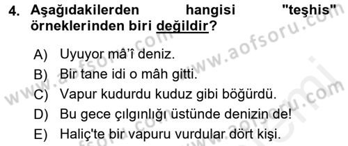 Eski Türk Edebiyatına Giriş: Söz Sanatları Dersi 2018 - 2019 Yılı (Vize) Ara Sınav Soruları 4. Soru