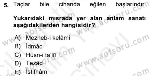 Eski Türk Edebiyatına Giriş: Söz Sanatları Dersi 2018 - 2019 Yılı (Vize) Ara Sınav Soruları 5. Soru