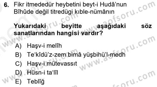 Eski Türk Edebiyatına Giriş: Söz Sanatları Dersi 2018 - 2019 Yılı (Vize) Ara Sınav Soruları 6. Soru