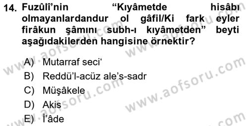 Eski Türk Edebiyatına Giriş: Söz Sanatları Dersi 2018 - 2019 Yılı (Final) Dönem Sonu Sınav Soruları 14. Soru