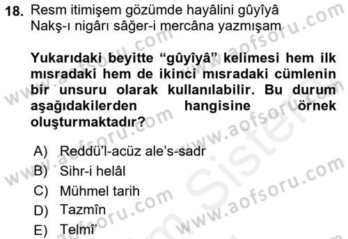 Eski Türk Edebiyatına Giriş: Söz Sanatları Dersi 2018 - 2019 Yılı (Final) Dönem Sonu Sınav Soruları 18. Soru