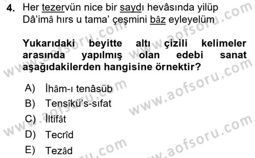 Eski Türk Edebiyatına Giriş: Söz Sanatları Dersi 2018 - 2019 Yılı (Final) Dönem Sonu Sınav Soruları 4. Soru
