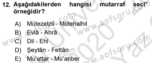 Eski Türk Edebiyatına Giriş: Söz Sanatları Dersi 2020 - 2021 Yılı Yaz Okulu Sınav Soruları 12. Soru