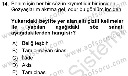 Eski Türk Edebiyatına Giriş: Söz Sanatları Dersi 2020 - 2021 Yılı Yaz Okulu Sınav Soruları 14. Soru