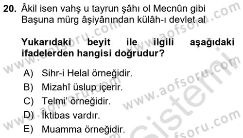 Eski Türk Edebiyatına Giriş: Söz Sanatları Dersi 2020 - 2021 Yılı Yaz Okulu Sınav Soruları 20. Soru