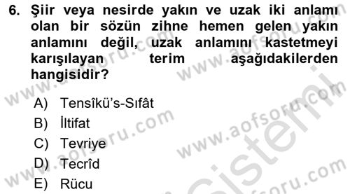 Eski Türk Edebiyatına Giriş: Söz Sanatları Dersi 2020 - 2021 Yılı Yaz Okulu Sınav Soruları 6. Soru