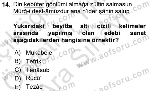 Eski Türk Edebiyatına Giriş: Söz Sanatları Dersi 2021 - 2022 Yılı (Vize) Ara Sınav Soruları 14. Soru