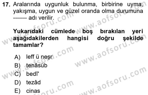 Eski Türk Edebiyatına Giriş: Söz Sanatları Dersi 2021 - 2022 Yılı (Vize) Ara Sınav Soruları 17. Soru