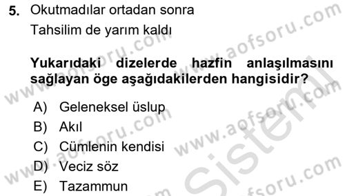 Eski Türk Edebiyatına Giriş: Söz Sanatları Dersi 2021 - 2022 Yılı (Vize) Ara Sınav Soruları 5. Soru