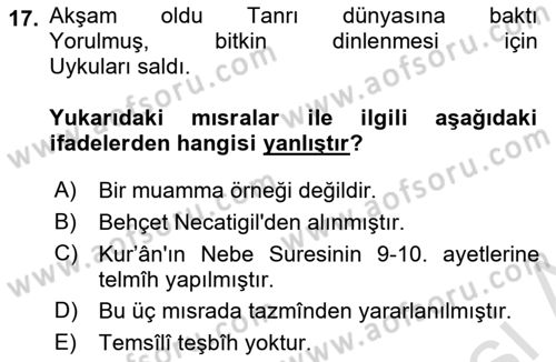 Eski Türk Edebiyatına Giriş: Söz Sanatları Dersi 2021 - 2022 Yılı (Final) Dönem Sonu Sınav Soruları 17. Soru