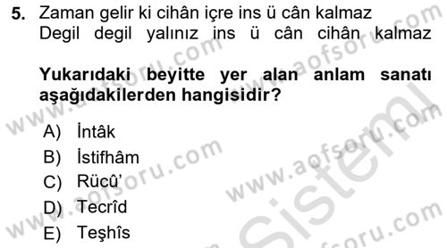 Eski Türk Edebiyatına Giriş: Söz Sanatları Dersi 2021 - 2022 Yılı (Final) Dönem Sonu Sınav Soruları 5. Soru