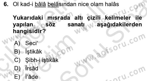 Eski Türk Edebiyatına Giriş: Söz Sanatları Dersi 2021 - 2022 Yılı (Final) Dönem Sonu Sınav Soruları 6. Soru