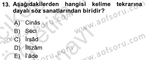 Eski Türk Edebiyatına Giriş: Söz Sanatları Dersi 2021 - 2022 Yılı Yaz Okulu Sınav Soruları 13. Soru