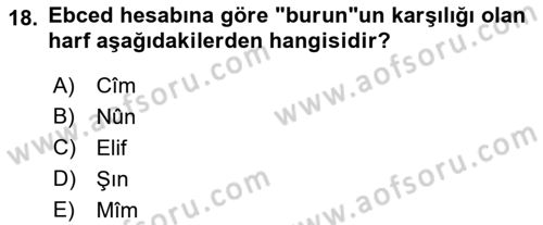 Eski Türk Edebiyatına Giriş: Söz Sanatları Dersi 2021 - 2022 Yılı Yaz Okulu Sınav Soruları 18. Soru