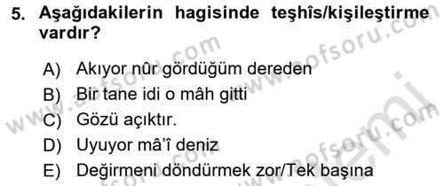 Eski Türk Edebiyatına Giriş: Söz Sanatları Dersi 2021 - 2022 Yılı Yaz Okulu Sınav Soruları 5. Soru