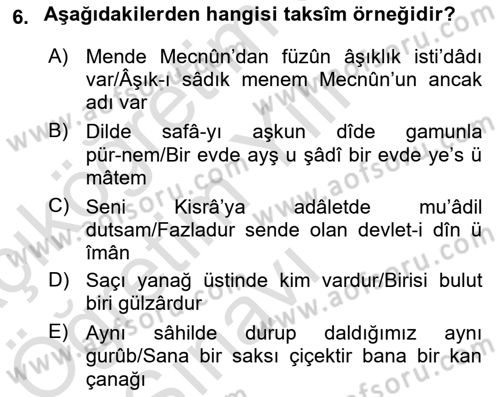 Eski Türk Edebiyatına Giriş: Söz Sanatları Dersi 2021 - 2022 Yılı Yaz Okulu Sınav Soruları 6. Soru
