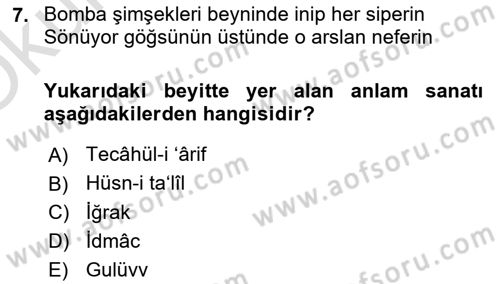 Eski Türk Edebiyatına Giriş: Söz Sanatları Dersi 2021 - 2022 Yılı Yaz Okulu Sınav Soruları 7. Soru