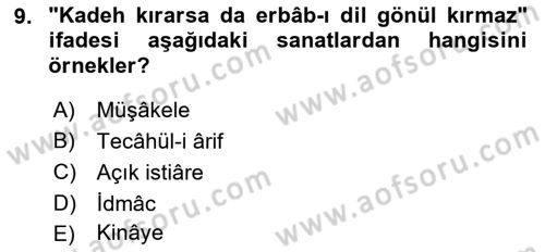 Eski Türk Edebiyatına Giriş: Söz Sanatları Dersi 2021 - 2022 Yılı Yaz Okulu Sınav Soruları 9. Soru