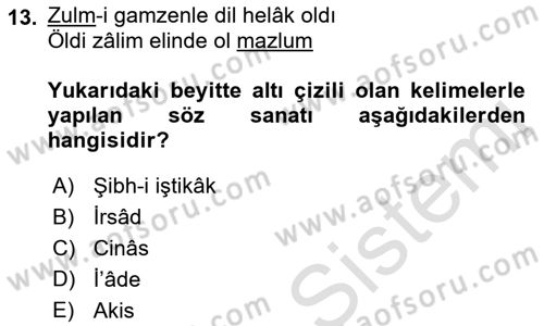 Eski Türk Edebiyatına Giriş: Söz Sanatları Dersi 2022 - 2023 Yılı Yaz Okulu Sınav Soruları 13. Soru