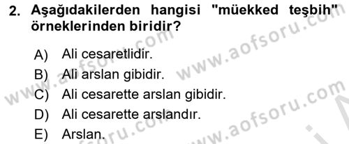 Eski Türk Edebiyatına Giriş: Söz Sanatları Dersi 2022 - 2023 Yılı Yaz Okulu Sınav Soruları 2. Soru