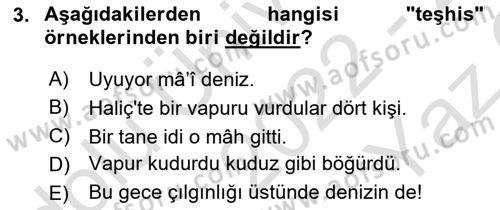 Eski Türk Edebiyatına Giriş: Söz Sanatları Dersi 2022 - 2023 Yılı Yaz Okulu Sınav Soruları 3. Soru