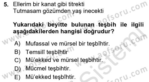Eski Türk Edebiyatına Giriş: Söz Sanatları Dersi 2022 - 2023 Yılı Yaz Okulu Sınav Soruları 5. Soru