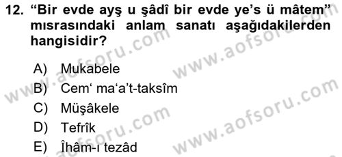 Eski Türk Edebiyatına Giriş: Söz Sanatları Dersi 2023 - 2024 Yılı (Vize) Ara Sınav Soruları 12. Soru