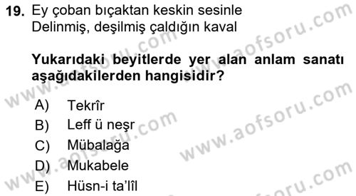 Eski Türk Edebiyatına Giriş: Söz Sanatları Dersi 2023 - 2024 Yılı (Vize) Ara Sınav Soruları 19. Soru