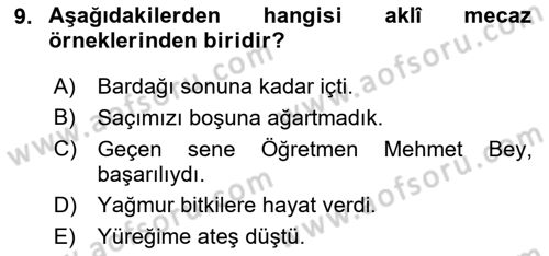 Eski Türk Edebiyatına Giriş: Söz Sanatları Dersi 2023 - 2024 Yılı (Vize) Ara Sınav Soruları 9. Soru