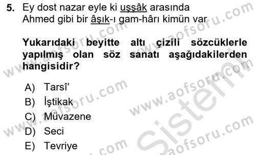 Eski Türk Edebiyatına Giriş: Söz Sanatları Dersi 2023 - 2024 Yılı (Final) Dönem Sonu Sınav Soruları 5. Soru