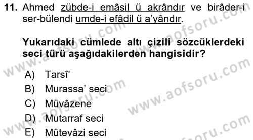 Eski Türk Edebiyatına Giriş: Söz Sanatları Dersi 2023 - 2024 Yılı Yaz Okulu Sınav Soruları 11. Soru