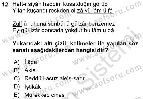 Eski Türk Edebiyatına Giriş: Söz Sanatları Dersi 2023 - 2024 Yılı Yaz Okulu Sınav Soruları 12. Soru
