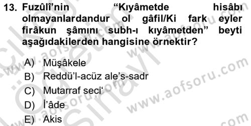 Eski Türk Edebiyatına Giriş: Söz Sanatları Dersi 2023 - 2024 Yılı Yaz Okulu Sınav Soruları 13. Soru