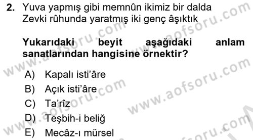 Eski Türk Edebiyatına Giriş: Söz Sanatları Dersi 2023 - 2024 Yılı Yaz Okulu Sınav Soruları 2. Soru