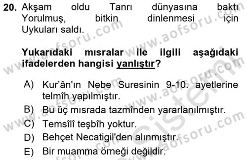 Eski Türk Edebiyatına Giriş: Söz Sanatları Dersi 2023 - 2024 Yılı Yaz Okulu Sınav Soruları 20. Soru