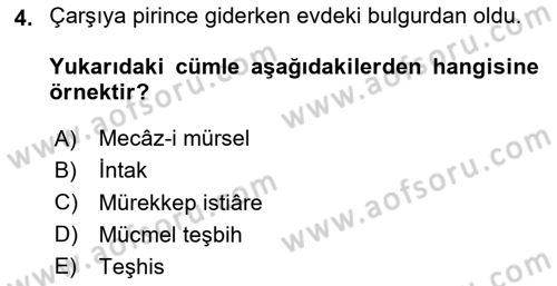 Eski Türk Edebiyatına Giriş: Söz Sanatları Dersi 2023 - 2024 Yılı Yaz Okulu Sınav Soruları 4. Soru