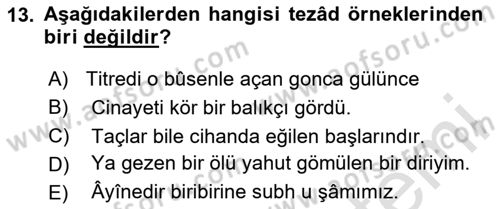 Eski Türk Edebiyatına Giriş: Söz Sanatları Dersi 2024 - 2025 Yılı (Vize) Ara Sınav Soruları 13. Soru