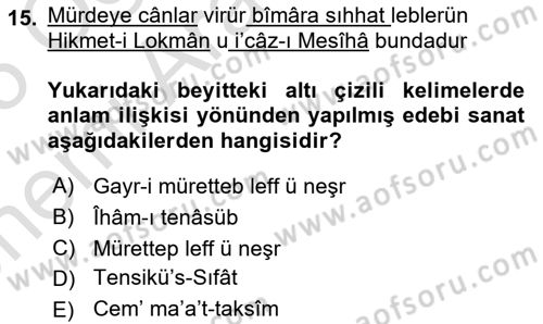 Eski Türk Edebiyatına Giriş: Söz Sanatları Dersi 2024 - 2025 Yılı (Vize) Ara Sınav Soruları 15. Soru