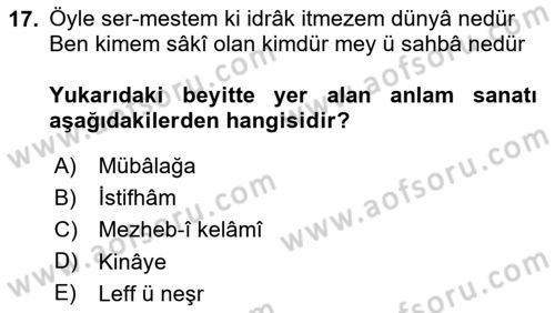 Eski Türk Edebiyatına Giriş: Söz Sanatları Dersi 2024 - 2025 Yılı (Vize) Ara Sınav Soruları 17. Soru