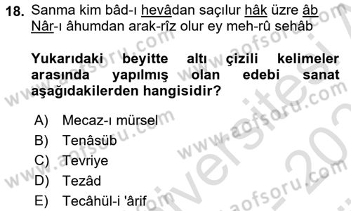 Eski Türk Edebiyatına Giriş: Söz Sanatları Dersi 2024 - 2025 Yılı (Vize) Ara Sınav Soruları 18. Soru