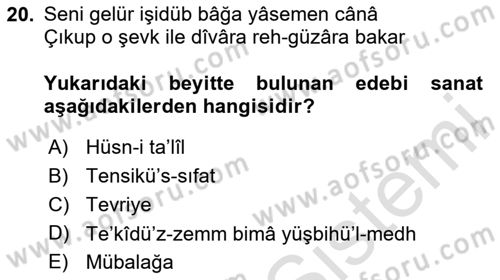 Eski Türk Edebiyatına Giriş: Söz Sanatları Dersi 2024 - 2025 Yılı (Vize) Ara Sınav Soruları 20. Soru