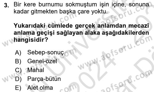 Eski Türk Edebiyatına Giriş: Söz Sanatları Dersi 2024 - 2025 Yılı (Vize) Ara Sınav Soruları 3. Soru