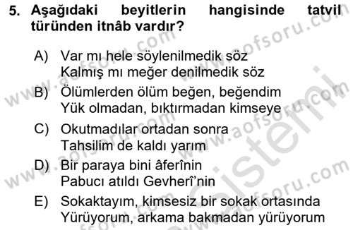 Eski Türk Edebiyatına Giriş: Söz Sanatları Dersi 2024 - 2025 Yılı (Vize) Ara Sınav Soruları 5. Soru