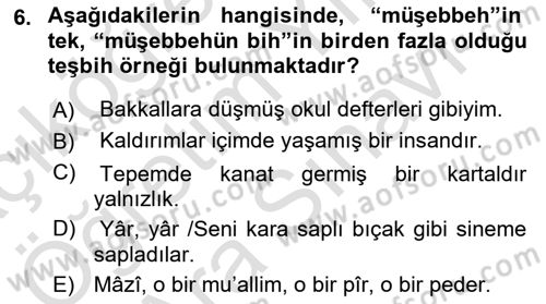 Eski Türk Edebiyatına Giriş: Söz Sanatları Dersi 2024 - 2025 Yılı (Vize) Ara Sınav Soruları 6. Soru