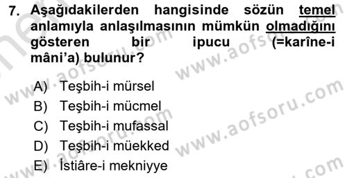 Eski Türk Edebiyatına Giriş: Söz Sanatları Dersi 2024 - 2025 Yılı (Vize) Ara Sınav Soruları 7. Soru