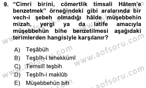 Eski Türk Edebiyatına Giriş: Söz Sanatları Dersi 2024 - 2025 Yılı (Vize) Ara Sınav Soruları 9. Soru