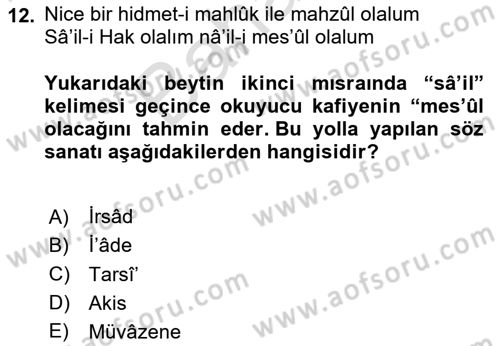 Eski Türk Edebiyatına Giriş: Söz Sanatları Dersi 2024 - 2025 Yılı (Final) Dönem Sonu Sınav Soruları 12. Soru