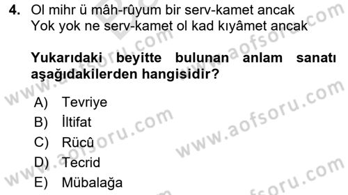 Eski Türk Edebiyatına Giriş: Söz Sanatları Dersi 2024 - 2025 Yılı (Final) Dönem Sonu Sınav Soruları 4. Soru