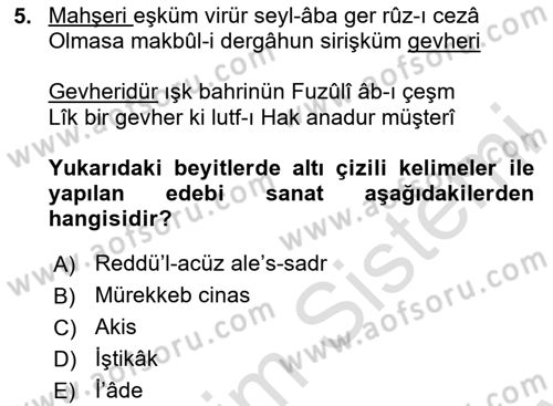 Eski Türk Edebiyatına Giriş: Söz Sanatları Dersi 2024 - 2025 Yılı (Final) Dönem Sonu Sınav Soruları 5. Soru