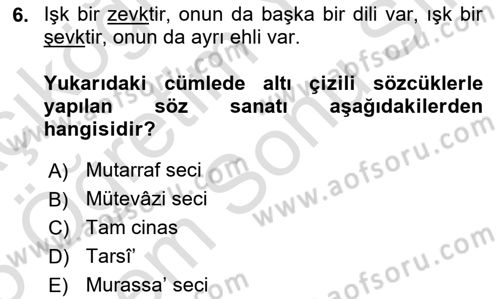 Eski Türk Edebiyatına Giriş: Söz Sanatları Dersi 2024 - 2025 Yılı (Final) Dönem Sonu Sınav Soruları 6. Soru